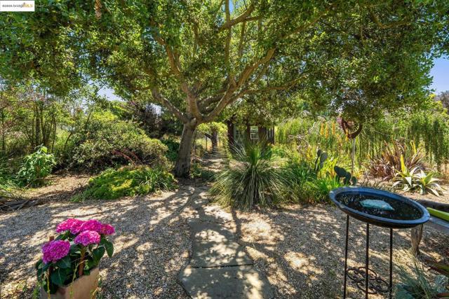 917 Avis Dr, El Cerrito CA: https://media.crmls.org/mediaz/8ab80f3f-d5e8-47c5-9d17-26781a80d9ad.jpg