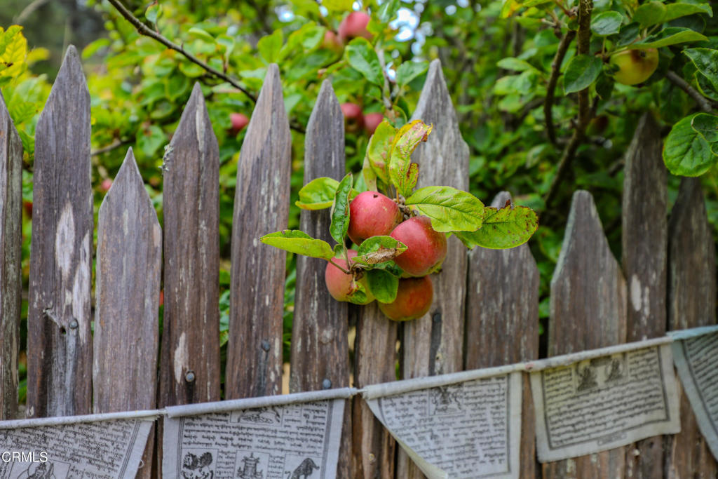 https://media.crmls.org/mediaz/8aca57ff-8466-4736-9b25-4b4e827f9677.jpg?preset=X-Large