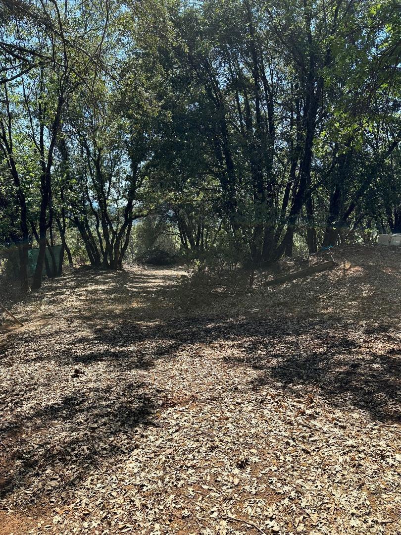 MLS #ML81974509 image #16