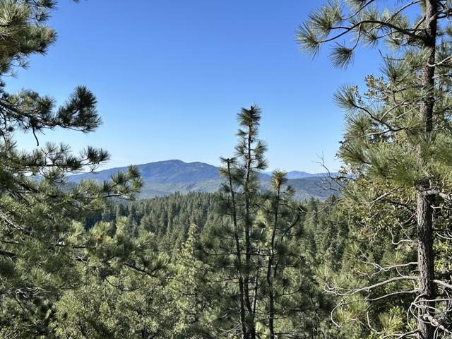 0 Mountain View, Idyllwild CA: https://media.crmls.org/mediaz/8adabf1c-7aba-4096-bd3b-d2d79a84e333.jpg