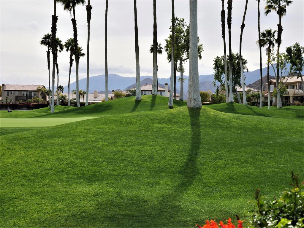 MLS #219137735DA image #33