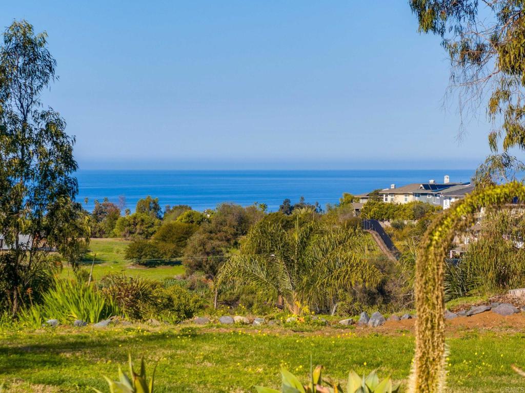 623 Quail Gardens Lane - photo 5