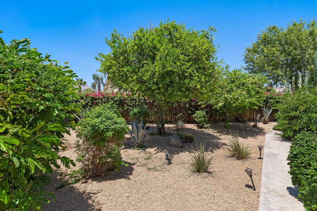 MLS #219149354DA image #24