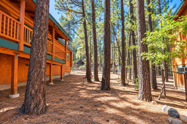 656 Saint Moritz Drive, Big Bear, CA 92315