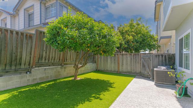 37076 Saint Edwards St, Newark CA: https://media.crmls.org/mediaz/8b1118ff-e5f2-4bf2-b579-ffb160d34933.jpg