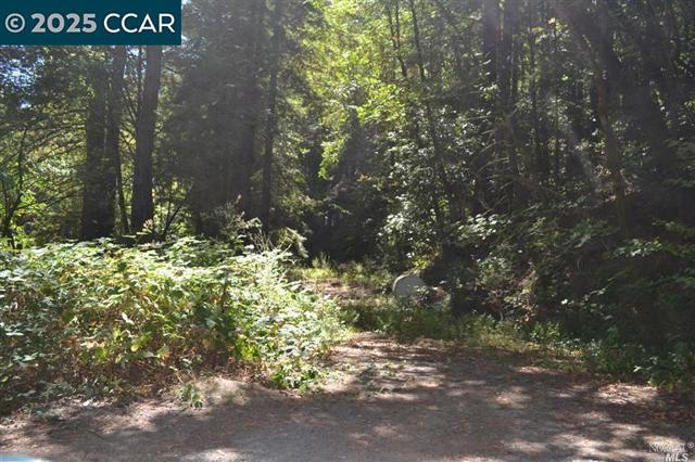 11190 Mc Peak Road, Forestville CA: https://media.crmls.org/mediaz/8b19ce06-a348-4ec4-9c81-6c611799f6b3.jpg