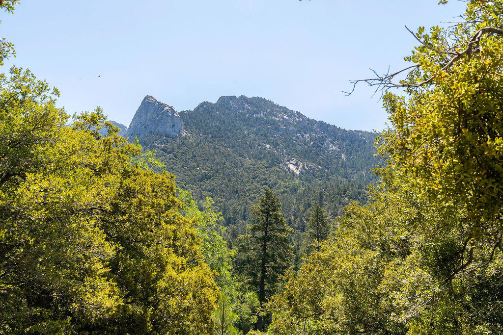 https://media.crmls.org/mediaz/8b1d879b-d18b-42e4-8015-1291df0f2d01.jpg?preset=X-Large