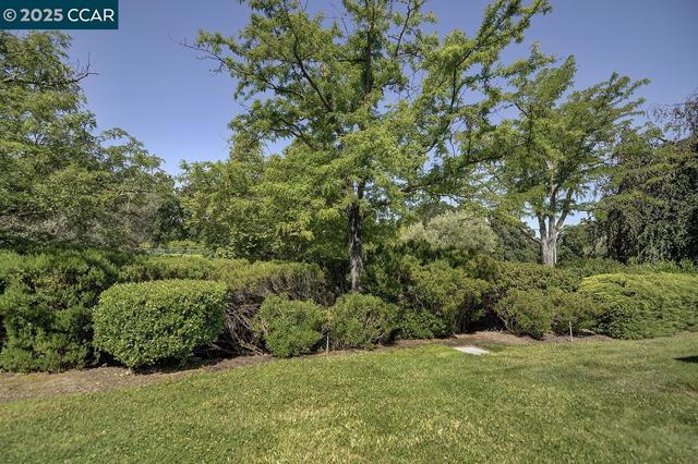 2607 Saklan Indian Dr, Walnut Creek CA: https://media.crmls.org/mediaz/8b20cfd1-22da-4ad6-9de9-9da1b3ff43d8.jpg
