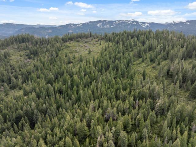 Image 65 of 95 For 2120 Pack Trail