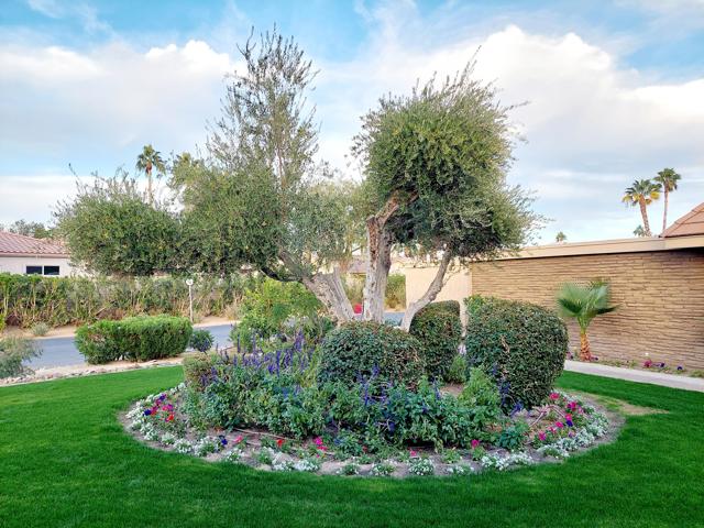 Image 1 of 22 For 76975 Roadrunner