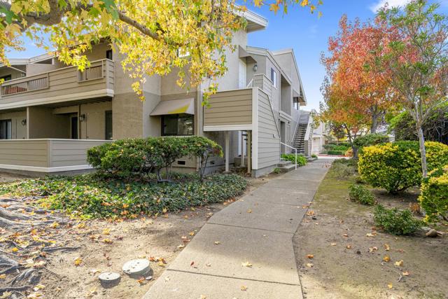 141 Albacore Lane, Foster City CA: https://media.crmls.org/mediaz/8b2d2e63-8efb-49dd-b95f-0e35e151d8b1.jpg