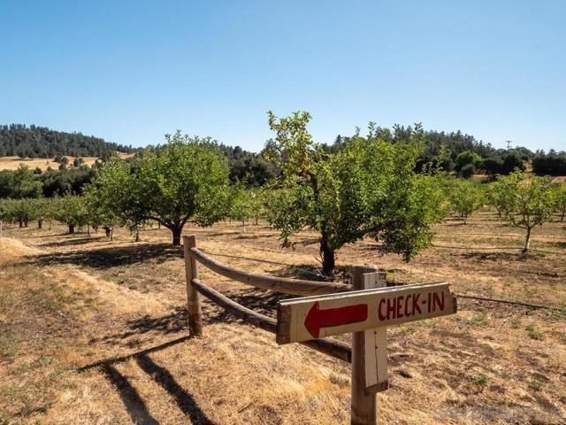 1209 Farmer Road, Julian CA: https://media.crmls.org/mediaz/8b34d857-7fb3-4afa-b5db-c54e84078d7e.jpg