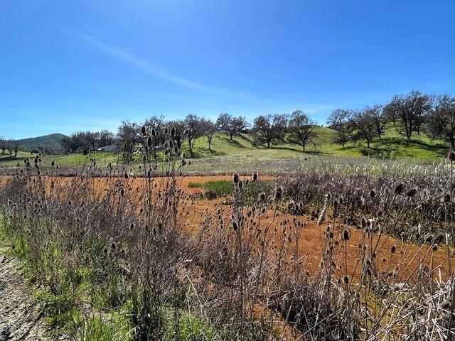 355 Pine Ridge Road, Lakeport CA: https://media.crmls.org/mediaz/8b35c952-9dfc-4ef9-be4f-7027b71ddf22.jpg