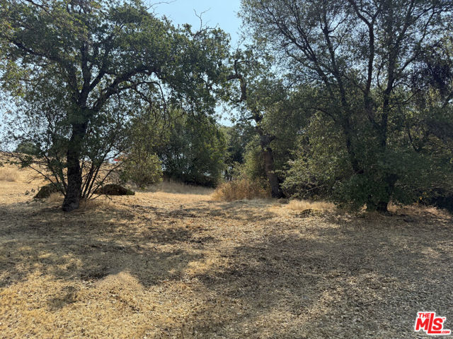 31199 Rolling Meadow Court, Coarsegold CA: https://media.crmls.org/mediaz/8b425d8b-4ec6-4418-ac36-41f24e81c409.jpg