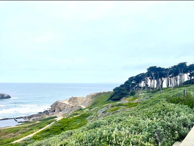 7725 Geary Boulevard, San Francisco CA: https://media.crmls.org/mediaz/8b4cc4dd-7223-480d-b6ae-b3f65b27fa4a.jpg