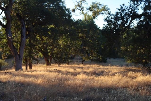 0 Lambert Flat Road, Carmel Valley CA: https://media.crmls.org/mediaz/8b4f8522-c704-483d-9dea-1306e4ee7a35.jpg