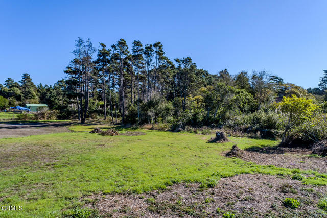 Detail Gallery Image 8 of 8 For 18451 Ca-1, Fort Bragg,  CA 95437 - – Beds | – Baths