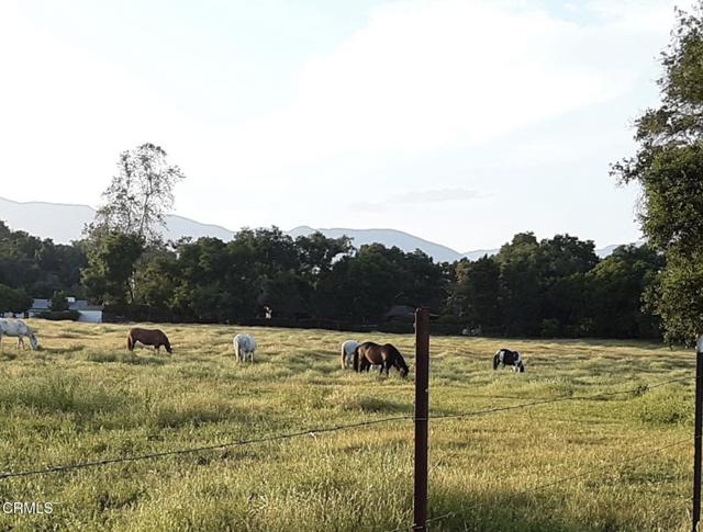 0 2 Burnham Road, Ojai CA: https://media.crmls.org/mediaz/8b5d9889-2fb3-423a-9bc1-626936f632e9.jpg