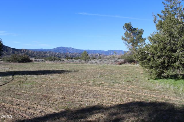 Detail Gallery Image 2 of 41 For 4190 Quatal Canyon Rd, Maricopa,  CA 93252 - – Beds | – Baths