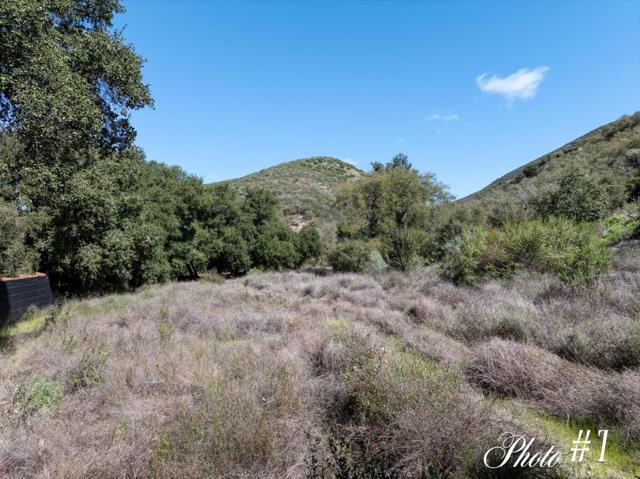44175 Carmel Valley, Greenfield CA: https://media.crmls.org/mediaz/8b6d0008-1242-4753-8b79-fba4d88de869.jpg