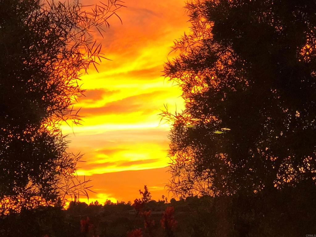 MLS #NDP2406639 image #67