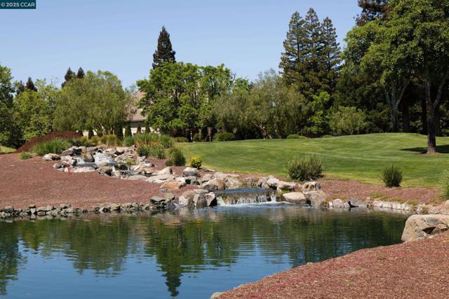 5427 Blackhawk Dr, Danville CA: https://media.crmls.org/mediaz/8b869da4-d080-4f74-aba8-eaa7c45e6dfc.jpg