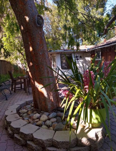 21851 Almaden Avenue, Cupertino CA: https://media.crmls.org/mediaz/8b8c3f14-5d1e-4666-961f-a4017d1a12c6.jpg