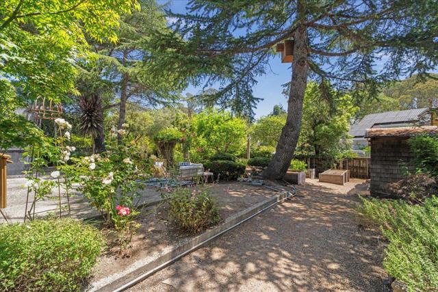 746 Western Drive, Santa Cruz CA: https://media.crmls.org/mediaz/8b8d0b52-ad03-4d71-9d8b-79e7d4f2e86f.jpg