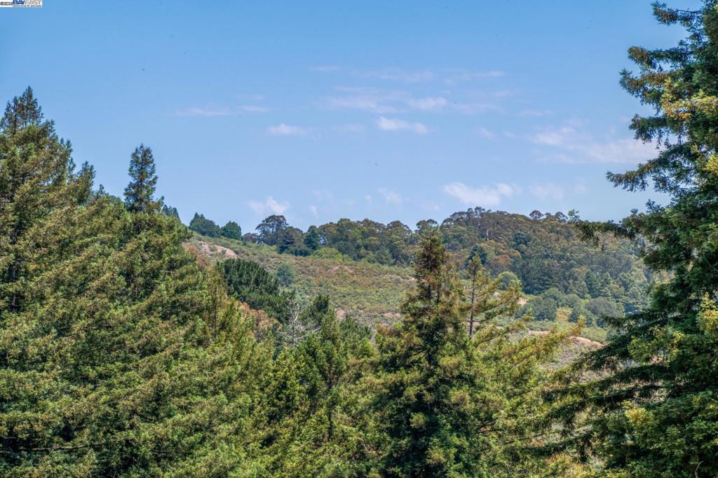 https://media.crmls.org/mediaz/8b90e489-8c68-4dd1-ab24-08461d4b6c09.jpg?preset=X-Large