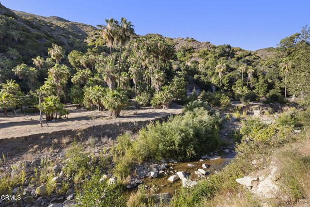 16825 Maricopa Highway, Ojai CA: https://media.crmls.org/mediaz/8b9d4df6-79ba-4618-8410-fe2b1cba85f5.jpg