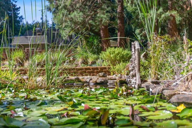 22370 Old Santa Cruz Highway, Los Gatos CA: https://media.crmls.org/mediaz/8baead42-52fd-458d-ba29-2ae922182b1a.jpg