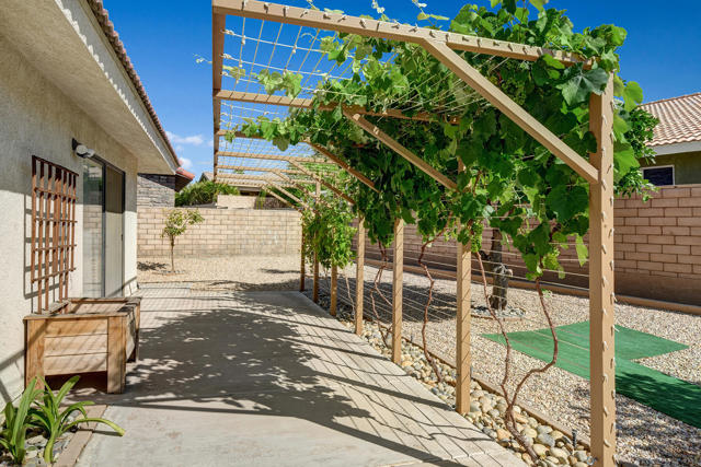 GRAPE ARBOR MLS