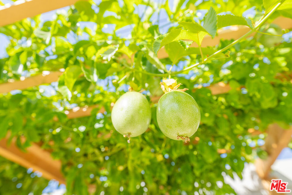 https://media.crmls.org/mediaz/8bb7094e-2fc8-4b90-8470-e75393d37ea7.jpg?preset=X-Large