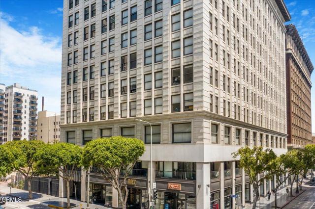 460 S Spring Street, Los Angeles CA: https://media.crmls.org/mediaz/8bbe5db7-06fb-42de-bdbc-634cf5e318de.jpg