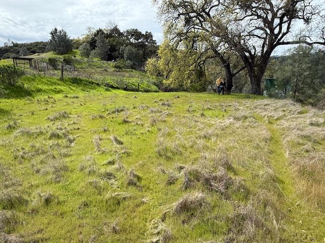 11 Little Uvas Road, Morgan Hill CA: https://media.crmls.org/mediaz/8bc3f630-61a7-4e6d-ac2d-acbc0362386d.jpg