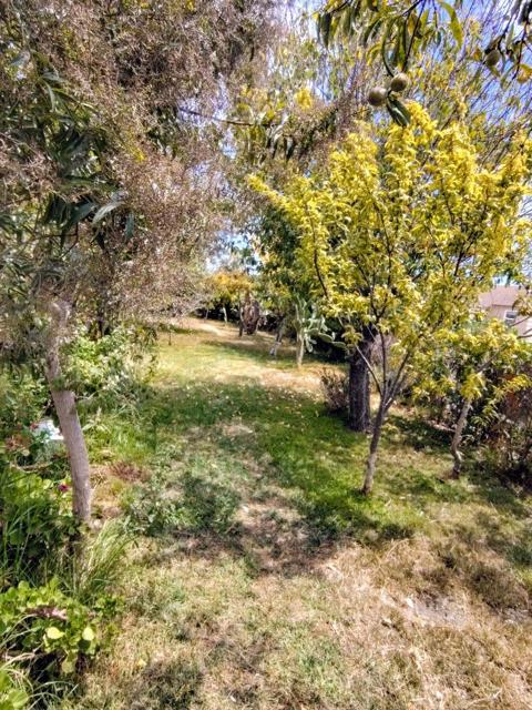 230 Paloma Avenue, Salinas CA: https://media.crmls.org/mediaz/8bc49db5-f611-4aef-a240-93e41845f041.jpg