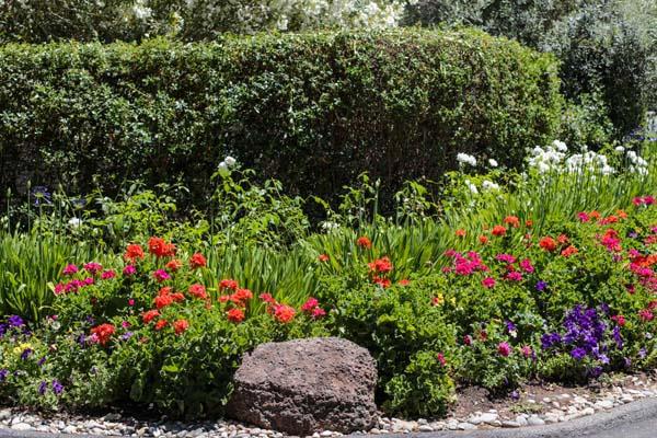 23 Bay Tree Lane, Los Altos CA: https://media.crmls.org/mediaz/8bc76831-0002-4518-bb23-3ee3f00a97cd.jpg