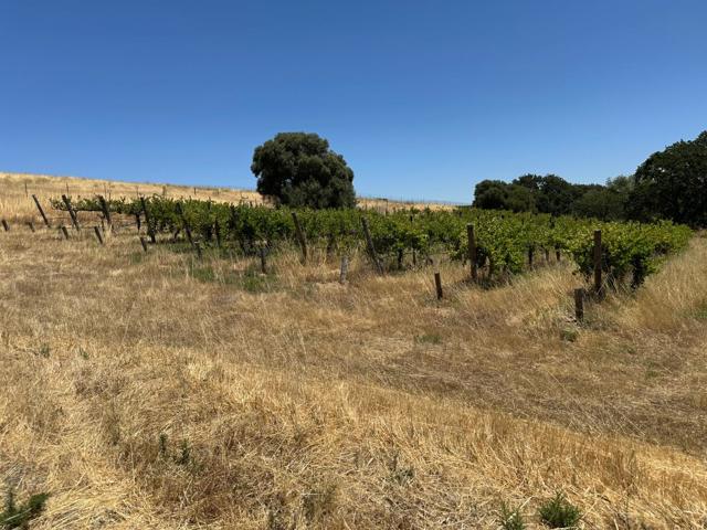 Image 2 of 3 For 342 Kalthoff Common