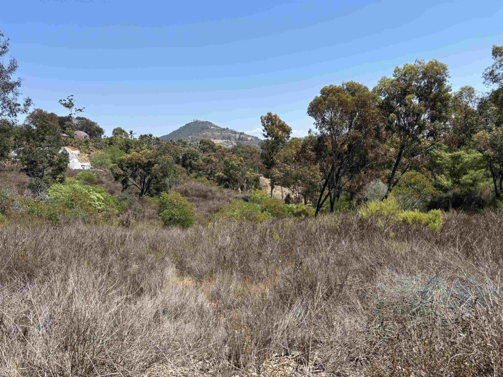 Lone Hill Lane - photo 2