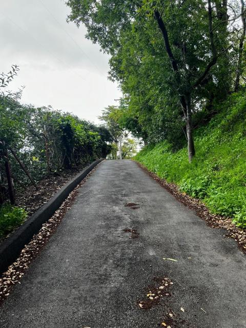 MLS #ML81959106 image #12