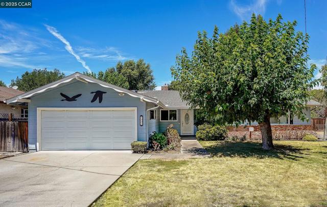 1801 Whitman Rd, Concord CA: https://media.crmls.org/mediaz/8bf206be-99a3-4486-a8ed-246e69984ab4.jpg