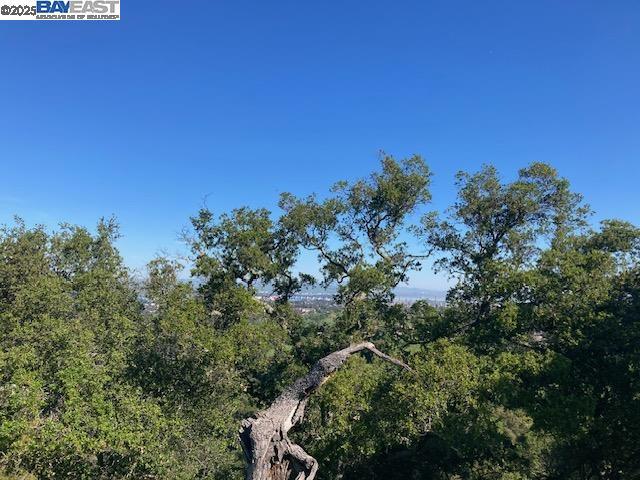 0 Wanda Way, Martinez CA: https://media.crmls.org/mediaz/8bf4b7e0-da66-490d-9921-b8714cdfd469.jpg