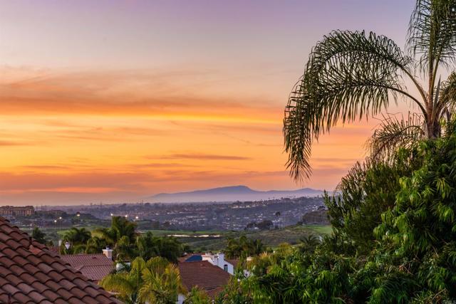 Detail Gallery Image 39 of 44 For 6443 Amethyst Way, Carlsbad,  CA 92011 - 4 Beds | 2/1 Baths