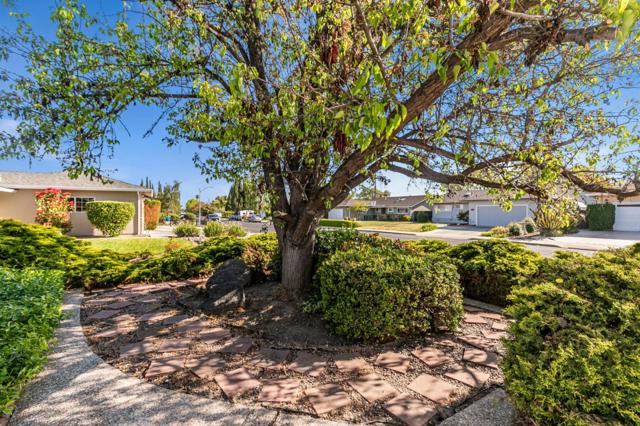 1296 Buchanan Drive, Santa Clara CA: https://media.crmls.org/mediaz/8c0a32e3-c2eb-4ce5-bdd0-6947c18c1a2b.jpg