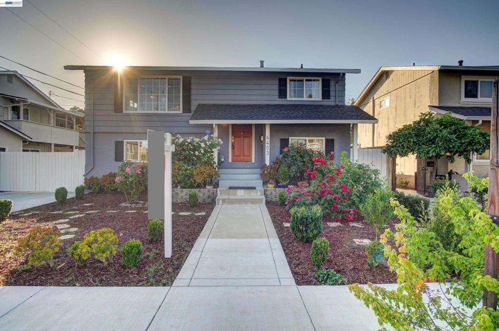 4403 Amador