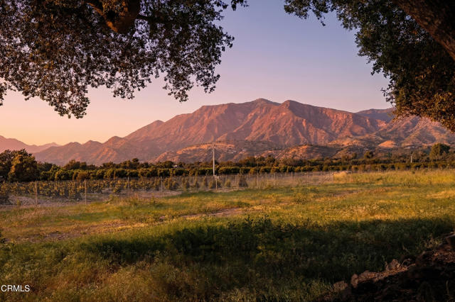 Detail Gallery Image 21 of 23 For 3741 Grand Ave, Ojai,  CA 93023 - 2 Beds | 2/1 Baths