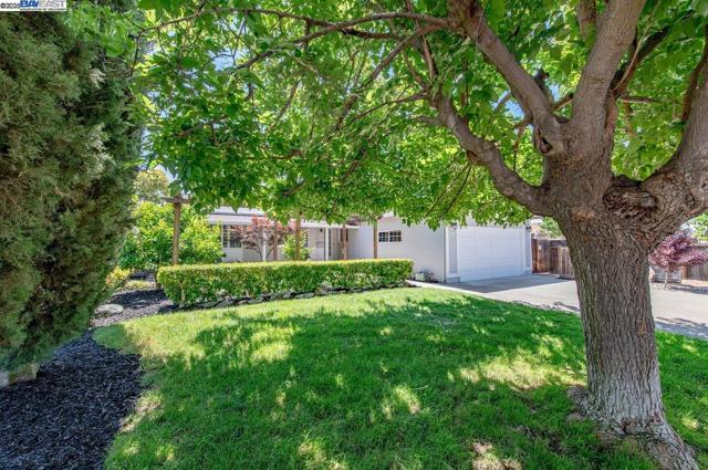 285 Edythe St, Livermore CA: https://media.crmls.org/mediaz/8c185975-53c0-4d0a-8fa4-7df7a7b33cc6.jpg