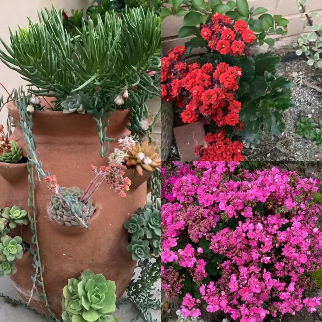 22720 Picador Drive, Salinas CA: https://media.crmls.org/mediaz/8c2250a2-d9fe-4ae1-ae28-b9be4f777408.jpg