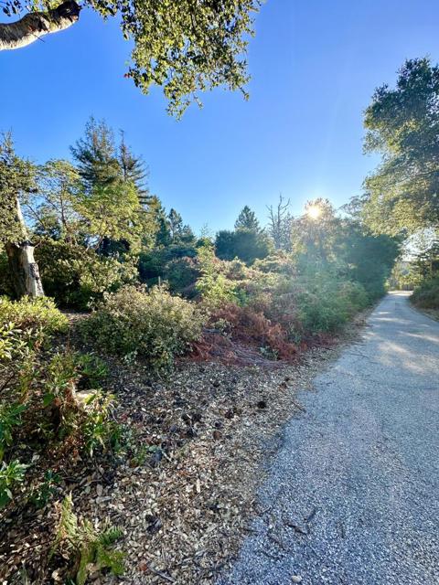 10001 West Drive, Felton CA: https://media.crmls.org/mediaz/8c29bb94-ecc7-4beb-8264-7b89491f32c1.jpg