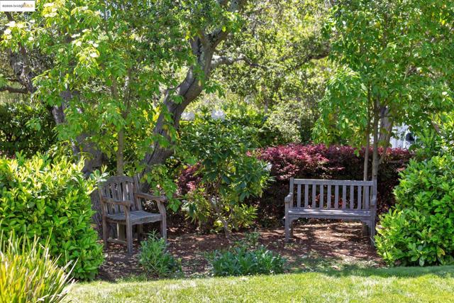 22 Sea View Ave, Piedmont CA: https://media.crmls.org/mediaz/8c2a9c60-1e15-4eae-977c-efc772e2590a.jpg